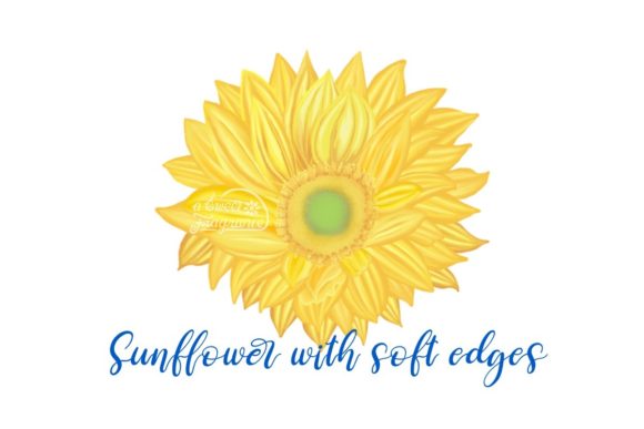 Download Sunflower with Soft Curves - Curves Collection